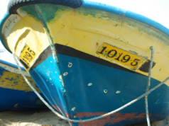 Israeli forces shoot at Palestinian fishing boats on average daily in 2017
