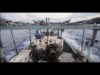 Six Miles Out: A day in the life of Gaza Fishers