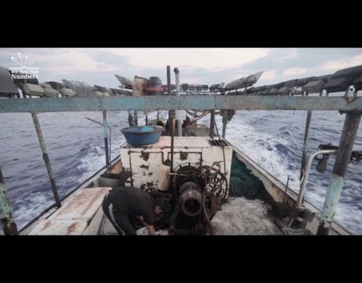Seis millas mar adentro: un día en la vida de los pescadores de Gaza